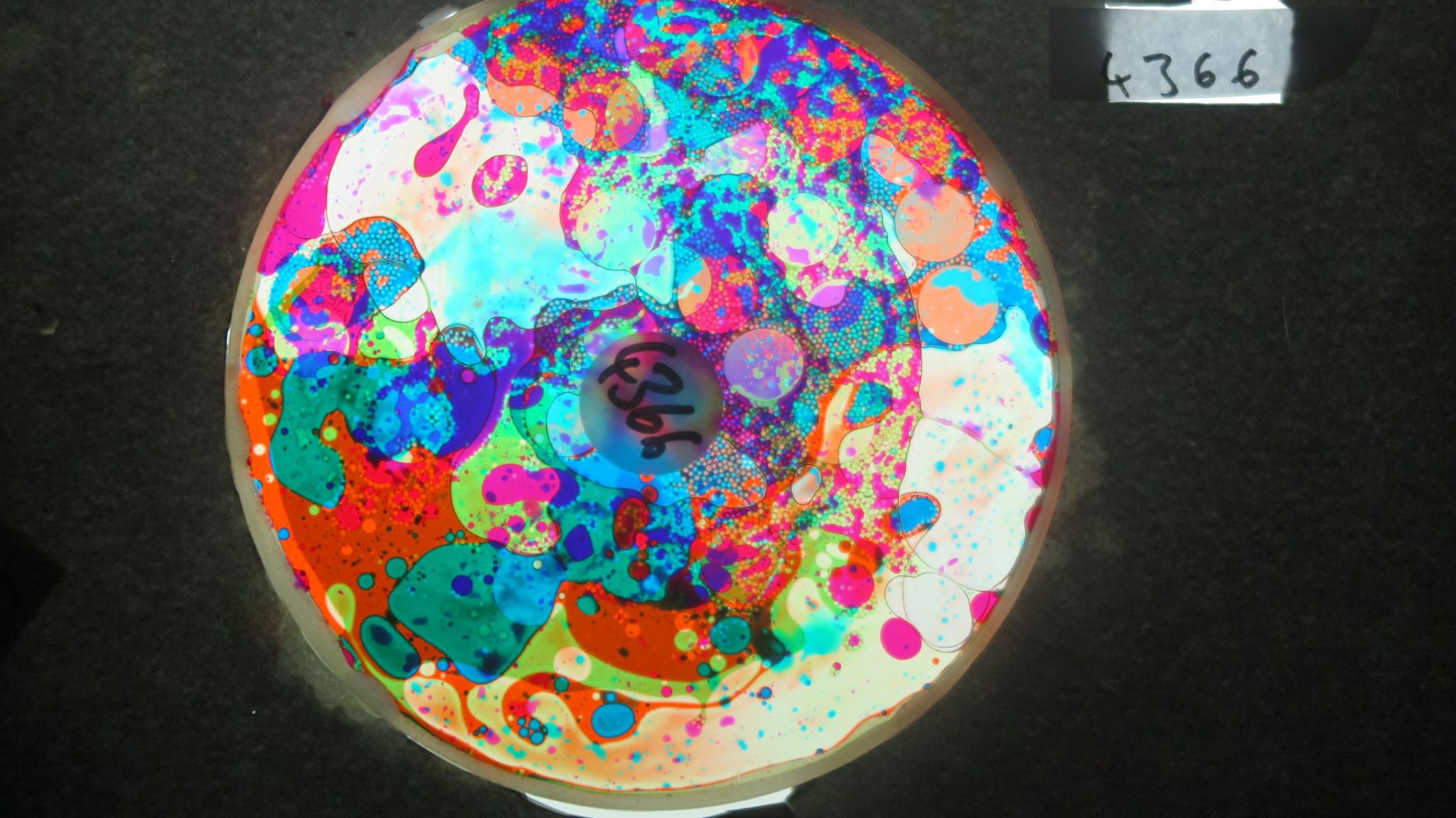 BV4366 bubble vision oil wheel